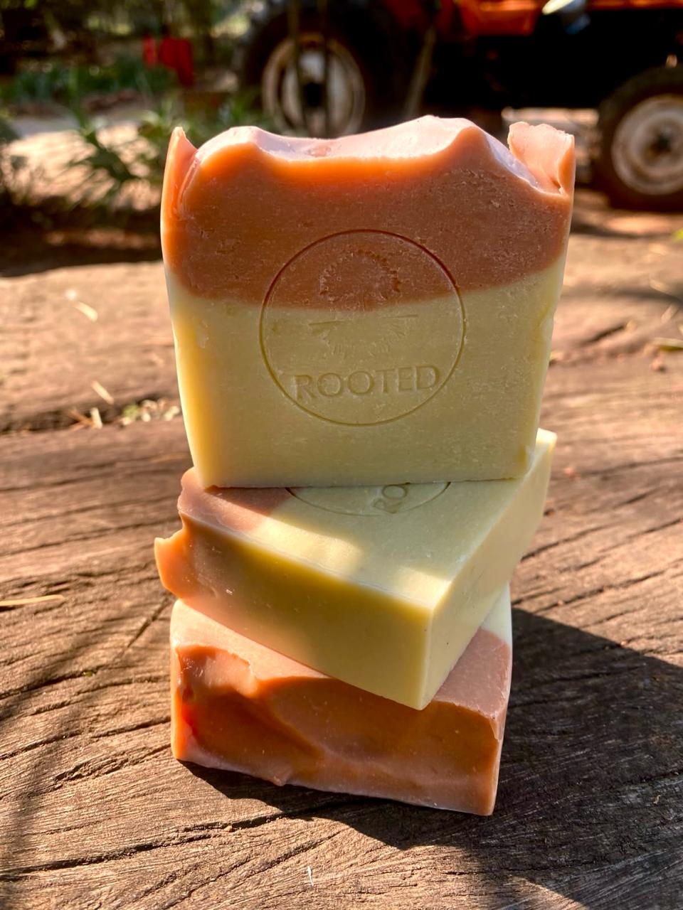 Rooted product photograph for Choosing a Rooted soap for your skin's needs