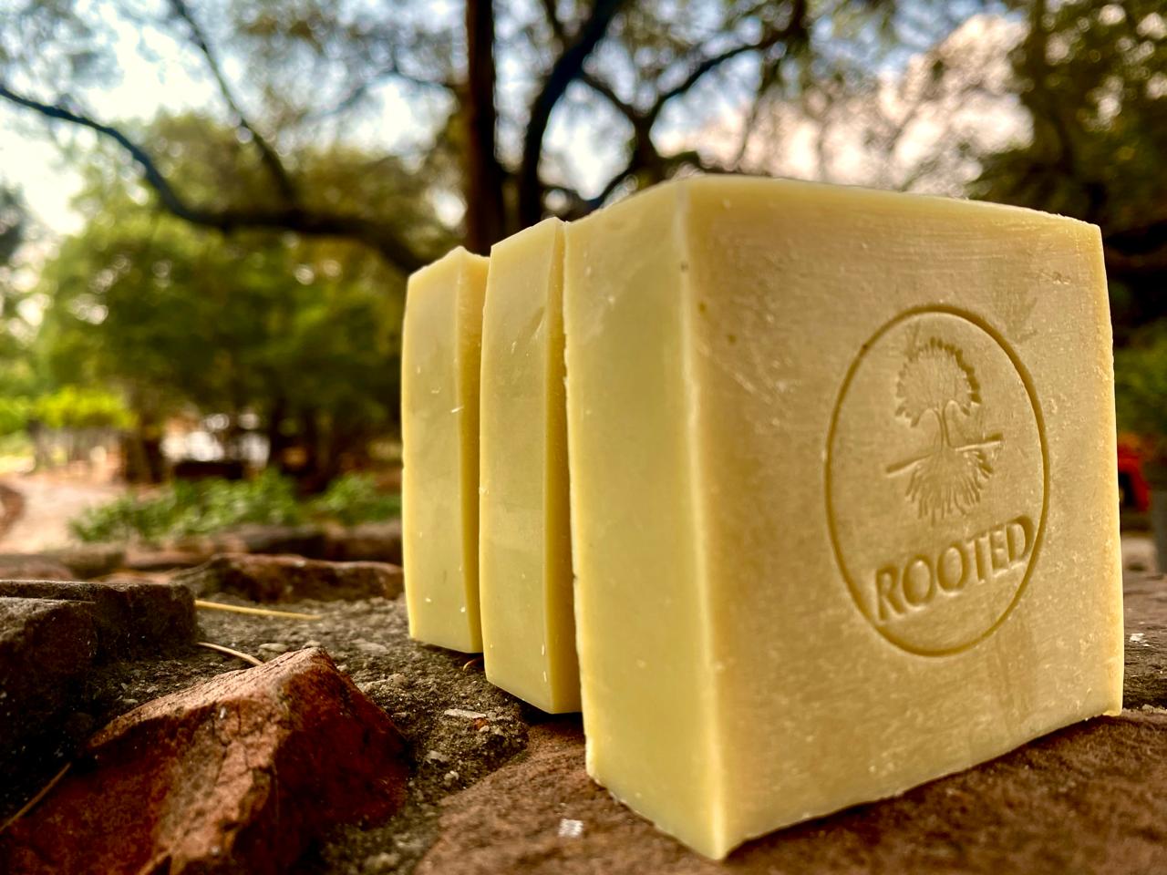 Rooted product photograph for Simple care for sensitive skin
